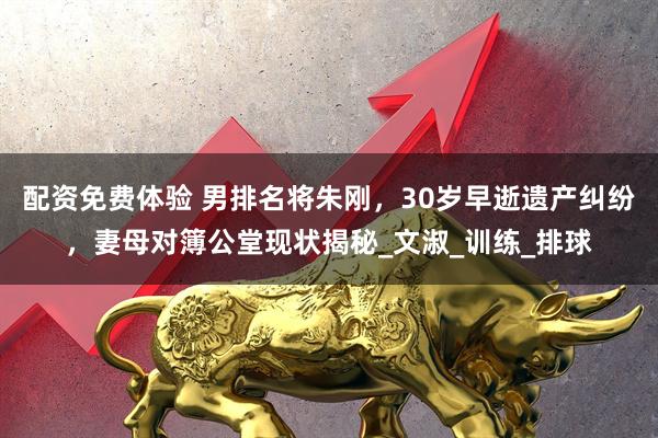 配资免费体验 男排名将朱刚，30岁早逝遗产纠纷，妻母对簿公堂现状揭秘_文淑_训练_排球