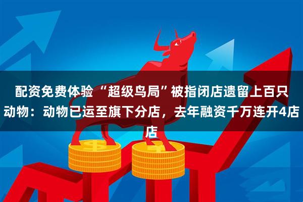 配资免费体验 “超级鸟局”被指闭店遗留上百只动物：动物已运至旗下分店，去年融资千万连开4店