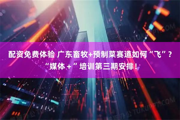 配资免费体验 广东畜牧+预制菜赛道如何“飞”？“媒体＋”培训第三期安排！